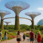 A Guide to Gardens by the Bay